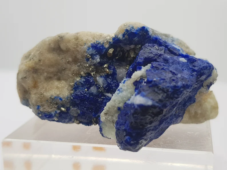 Deep blue Lazurite and lustrous pyrite crystals on matrix